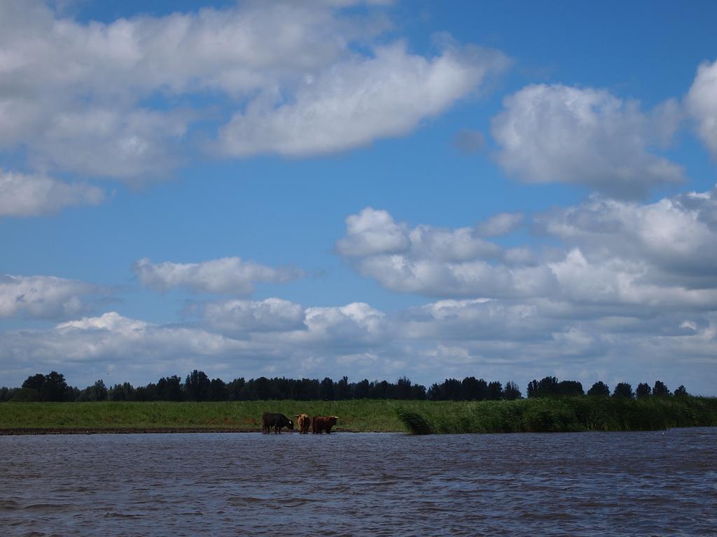 De Energiek Bed and Breakfast Wehe-den Hoorn Esterno foto